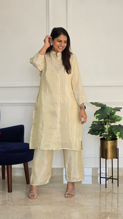 Beige Sitara Tissue Suit