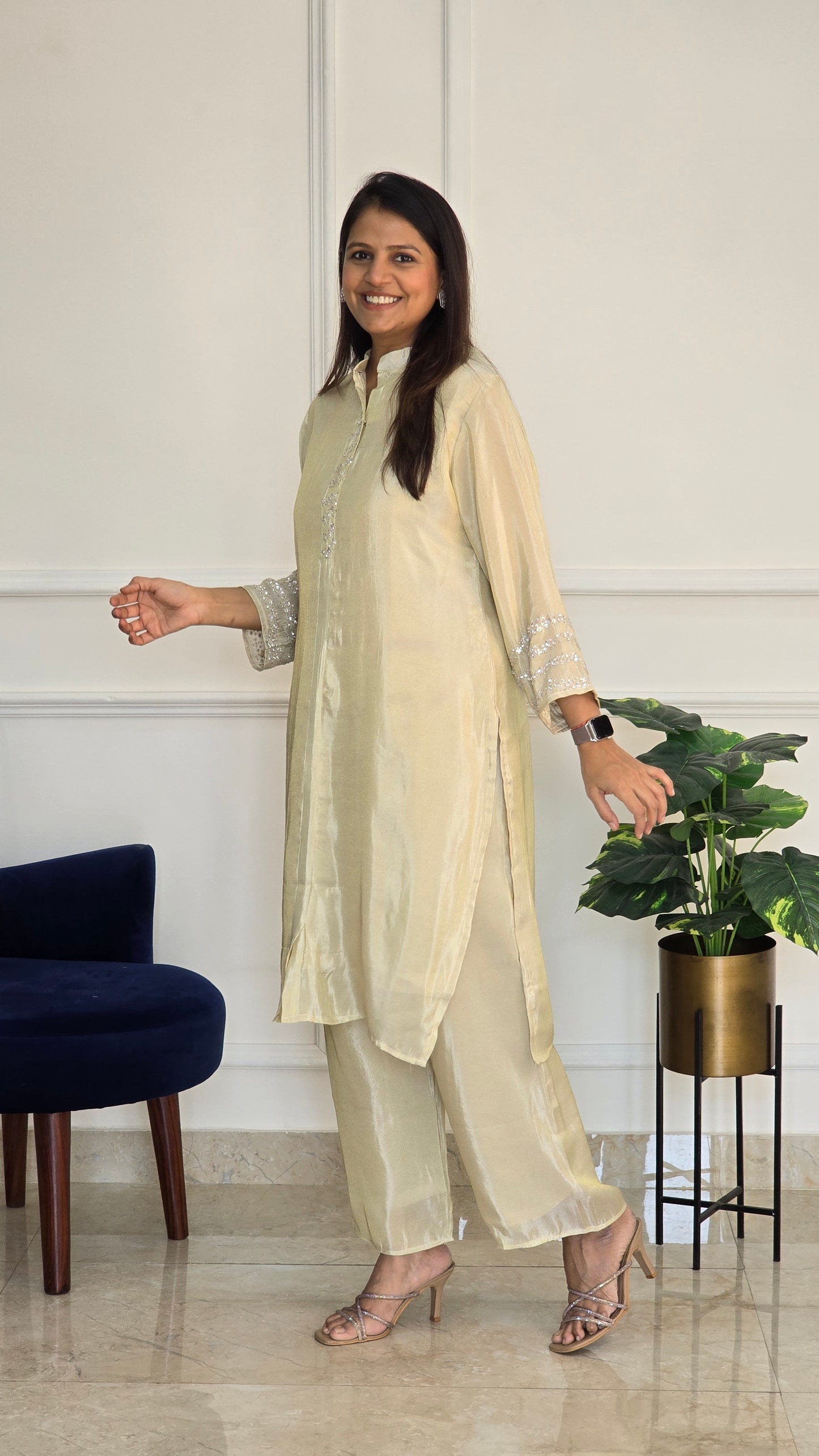 Beige Sitara Tissue Suit