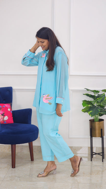 Sky Blue Bird Detailing Mul Chanderi Co Ord Set